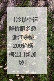 冷链空运解侨胞乡愁 浙江余姚200箱杨梅出口新加坡