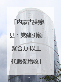 内蒙古突泉县：党建引领聚合力 以工代赈促增收
