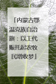 内蒙古鄂温克族自治旗：以工代赈托起农牧民增收梦
