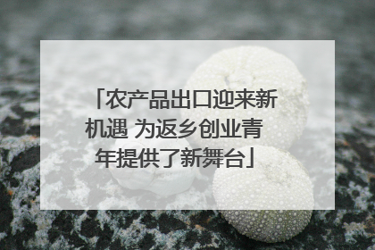 农产品出口迎来新机遇 为返乡创业青年提供了新舞台