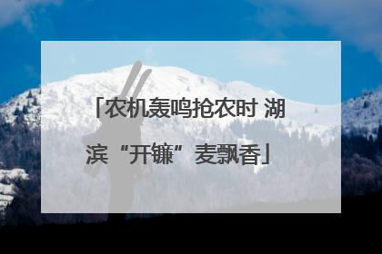 农机轰鸣抢农时 湖滨“开镰”麦飘香