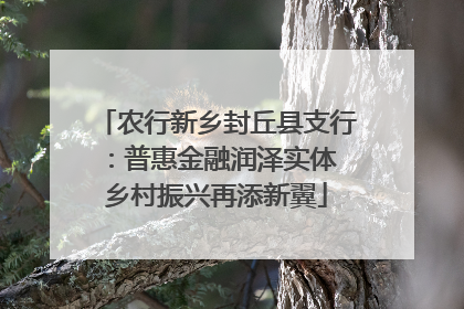 农行新乡封丘县支行：普惠金融润泽实体 乡村振兴再添新翼