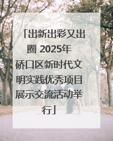 出新出彩又出圈 2025年硚口区新时代文明实践优秀项目展示交流活动举行