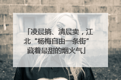 凌晨摘、清晨卖，江北“杨梅自由一条街”藏着最甜的烟火气