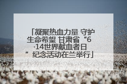 凝聚热血力量 守护生命希望 甘肃省“6 ·14世界献血者日”纪念活动在兰举行