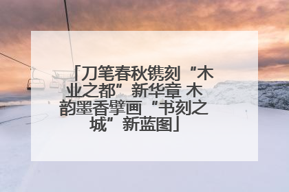 刀笔春秋镌刻“木业之都”新华章 木韵墨香擘画“书刻之城”新蓝图