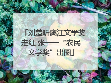 刘楚昕漓江文学奖走红 张一一“农民文学奖”出圈