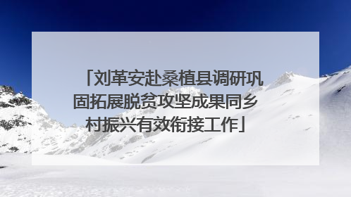 刘革安赴桑植县调研巩固拓展脱贫攻坚成果同乡村振兴有效衔接工作
