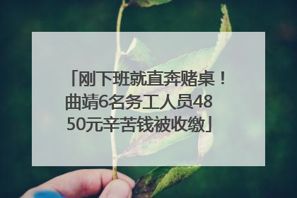 刚下班就直奔赌桌！曲靖6名务工人员4850元辛苦钱被收缴