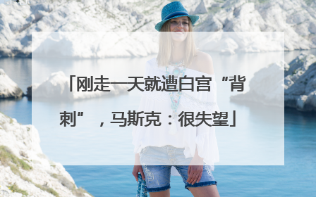 刚走一天就遭白宫“背刺”，马斯克：很失望