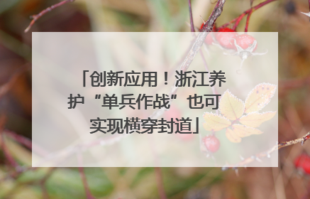 创新应用！浙江养护“单兵作战”也可实现横穿封道