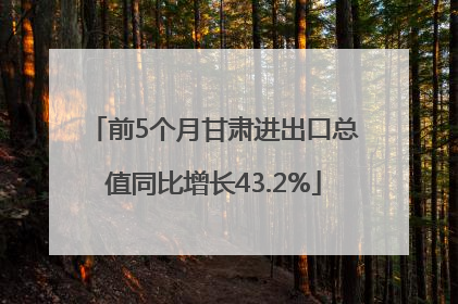 前5个月甘肃进出口总值同比增长43.2%