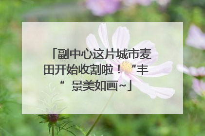副中心这片城市麦田开始收割啦！“丰”景美如画~