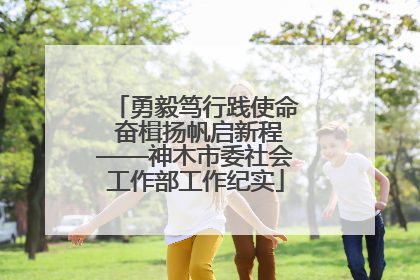 勇毅笃行践使命 奋楫扬帆启新程——神木市委社会工作部工作纪实