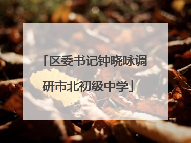 区委书记钟晓咏调研市北初级中学