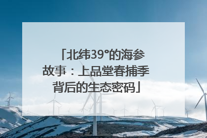 北纬39°的海参故事：上品堂春捕季背后的生态密码