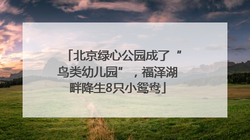 北京绿心公园成了“鸟类幼儿园”，福泽湖畔降生8只小鸳鸯