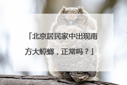 北京居民家中出现南方大蟑螂，正常吗？
