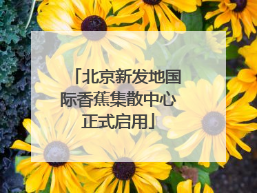 北京新发地国际香蕉集散中心正式启用