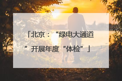 北京：“绿电大通道”开展年度“体检”