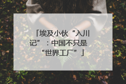 埃及小伙“入川记”：中国不只是“世界工厂”