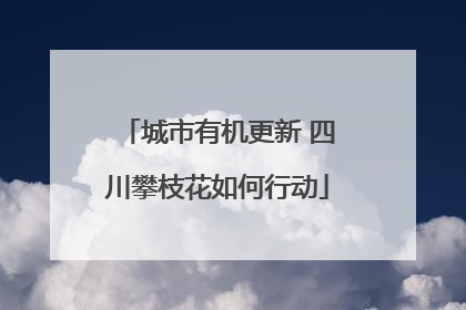 城市有机更新 四川攀枝花如何行动