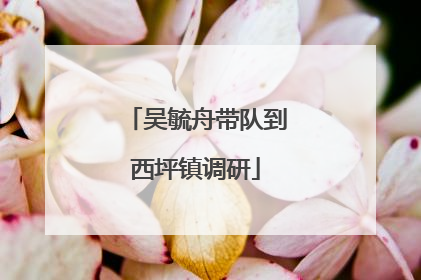 吴毓舟带队到西坪镇调研