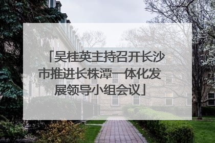 吴桂英主持召开长沙市推进长株潭一体化发展领导小组会议