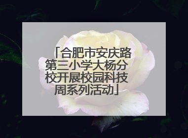 合肥市安庆路第三小学大杨分校开展校园科技周系列活动