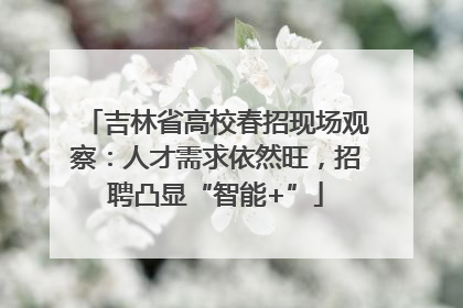 吉林省高校春招现场观察：人才需求依然旺，招聘凸显“智能+”