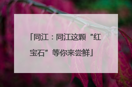 同江：同江这颗“红宝石”等你来尝鲜