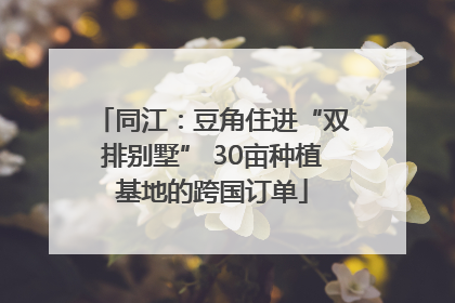 同江：豆角住进“双排别墅” 30亩种植基地的跨国订单