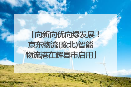 向新向优向绿发展！京东物流(豫北)智能物流港在辉县市启用