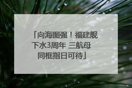 向海图强！福建舰下水3周年 三航母同框指日可待
