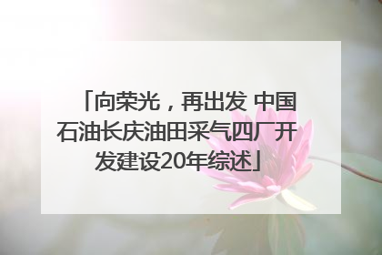 向荣光，再出发 中国石油长庆油田采气四厂开发建设20年综述