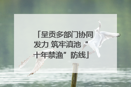 呈贡多部门协同发力 筑牢滇池“十年禁渔”防线