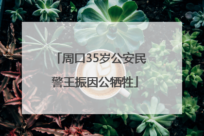 周口35岁公安民警王振因公牺牲