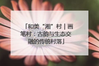 和美“湘”村｜画笔村：古韵与生态交融的传统村落