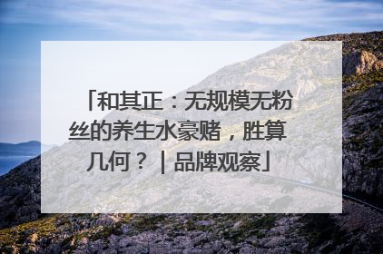 和其正：无规模无粉丝的养生水豪赌，胜算几何？｜品牌观察