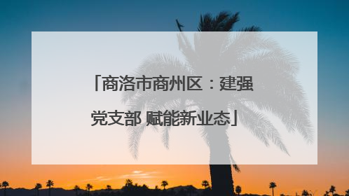 商洛市商州区：建强党支部 赋能新业态