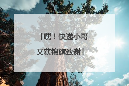 嘿！快递小哥又获锦旗致谢