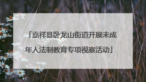 嘉祥县卧龙山街道开展未成年人法制教育专项视察活动
