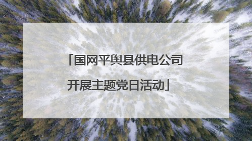 国网平舆县供电公司开展主题党日活动