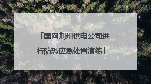 国网荆州供电公司进行防恐应急处置演练