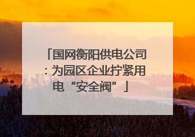 国网衡阳供电公司：为园区企业拧紧用电“安全阀”