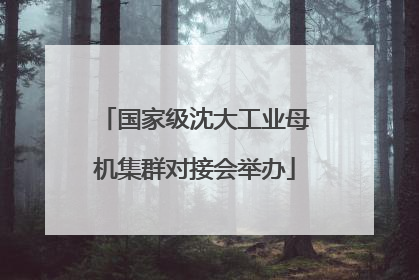 国家级沈大工业母机集群对接会举办