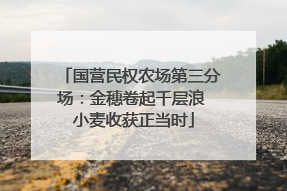 国营民权农场第三分场：金穗卷起千层浪 小麦收获正当时