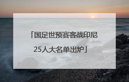 国足世预赛客战印尼25人大名单出炉
