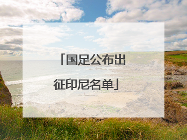 国足公布出征印尼名单
