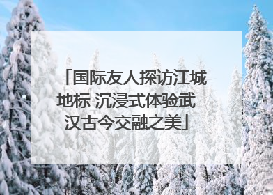 国际友人探访江城地标 沉浸式体验武汉古今交融之美